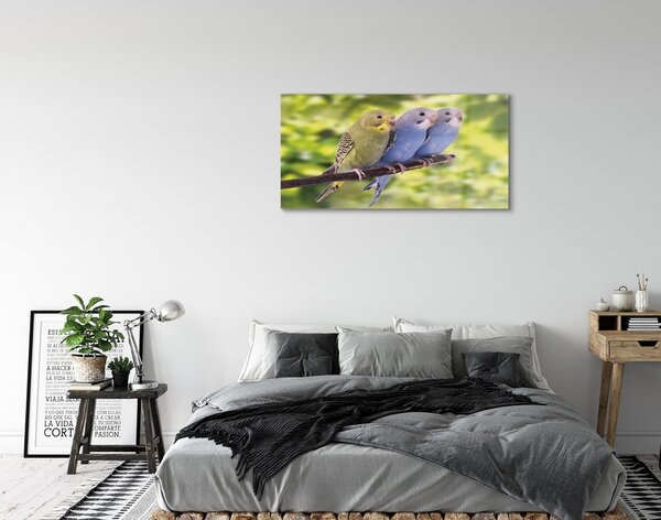 Quadro di vetro Pappagalli colorati su un ramo 100x50 cm 2 appendini