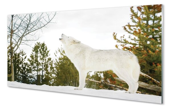 Quadro di vetro Lupo foresta invernale 100x50 cm 2 appendini