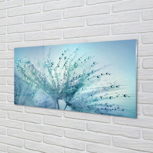 Quadro in vetro Macro gocce di mosconi 100x50 cm 2 appendini