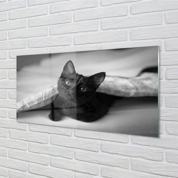 Quadro vetro Gatto sotto il piumone 100x50 cm 2 appendini