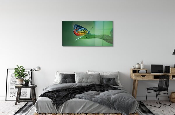 Quadro in vetro Foglia di farfalla colorata 100x50 cm 2 appendini