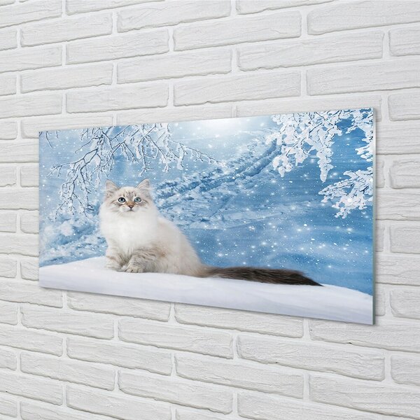 Quadro su vetro Gatto in inverno 100x50 cm 2 appendini