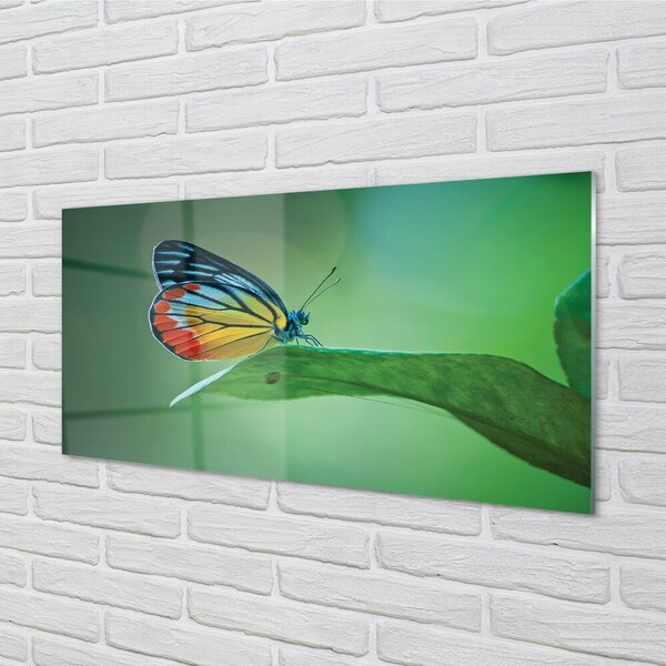 Quadro in vetro Foglia di farfalla colorata 100x50 cm 2 appendini