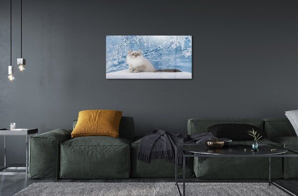 Quadro su vetro Gatto in inverno 100x50 cm 2 appendini