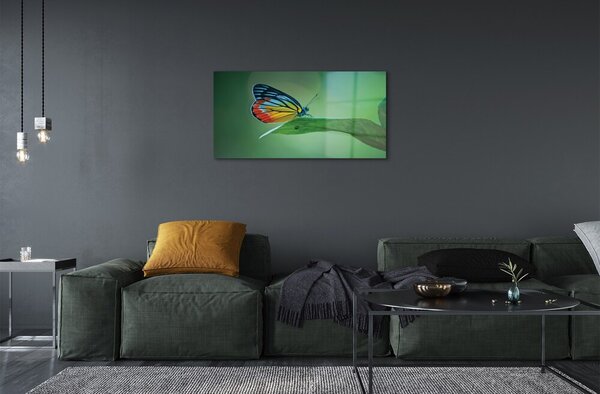 Quadro in vetro Foglia di farfalla colorata 100x50 cm 2 appendini