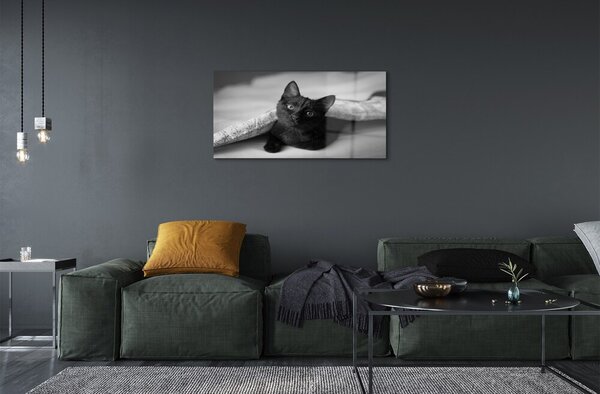 Quadro vetro Gatto sotto il piumone 100x50 cm 2 appendini