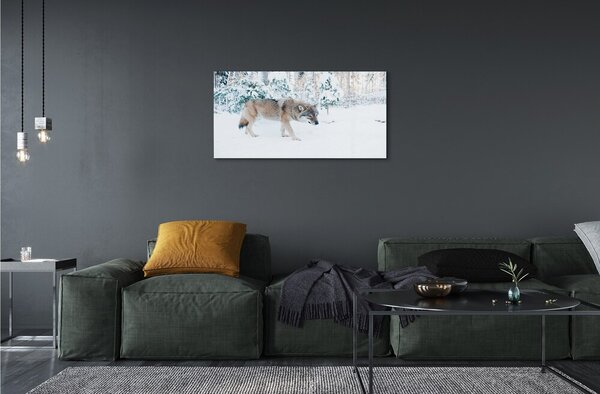 Quadro vetro Lupo della foresta invernale 100x50 cm 2 appendini