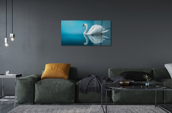 Quadro in vetro Cigno nell'acqua 100x50 cm 2 appendini