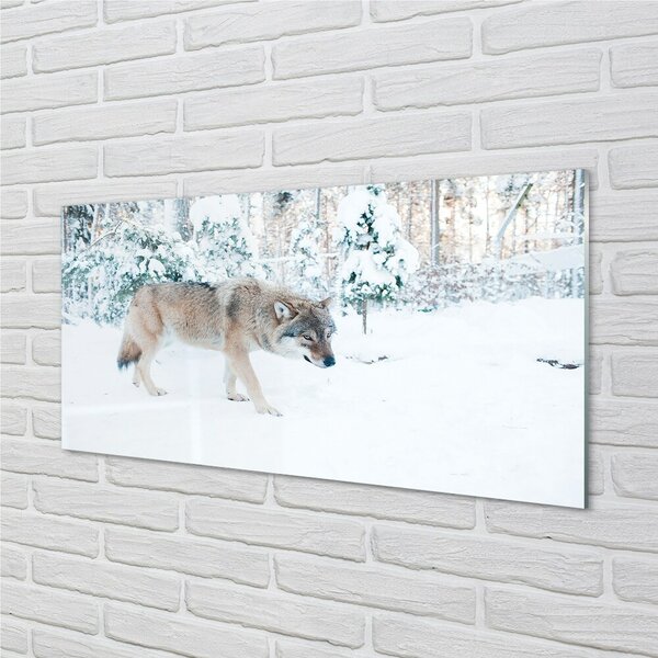 Quadro vetro Lupo della foresta invernale 100x50 cm 2 appendini