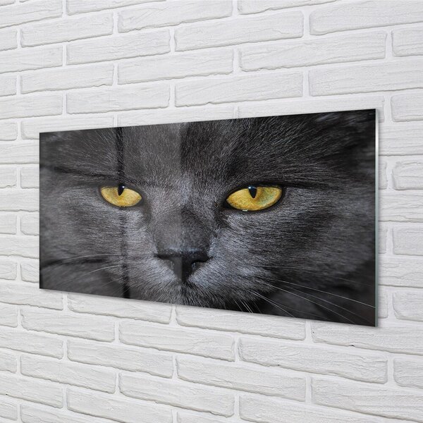 Quadro in vetro Gatto nero 100x50 cm 2 appendini