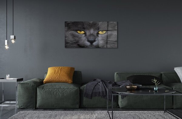 Quadro in vetro Gatto nero 100x50 cm 2 appendini