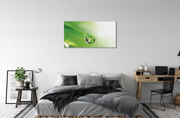 Quadro vetro Sole a foglia di goccia 100x50 cm 2 appendini