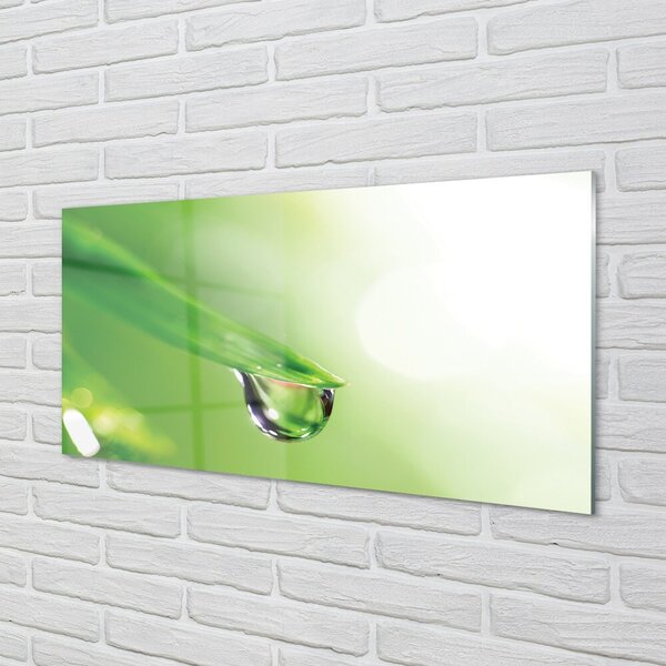 Quadro vetro Sole a foglia di goccia 100x50 cm 2 appendini