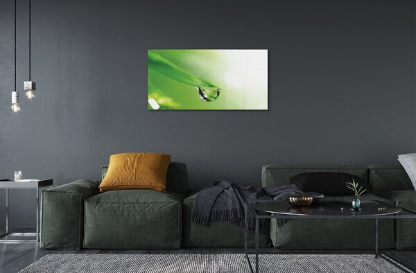 Quadro vetro Sole a foglia di goccia 100x50 cm 2 appendini