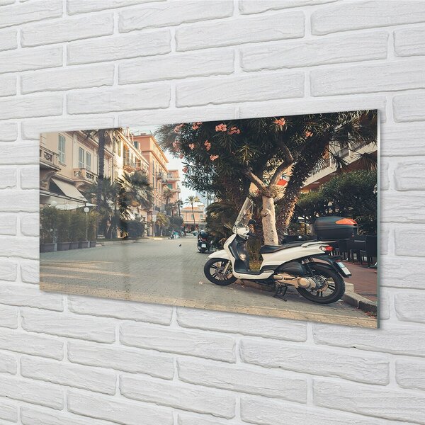 Quadro di vetro Moto palme città estate 100x50 cm 2 appendini