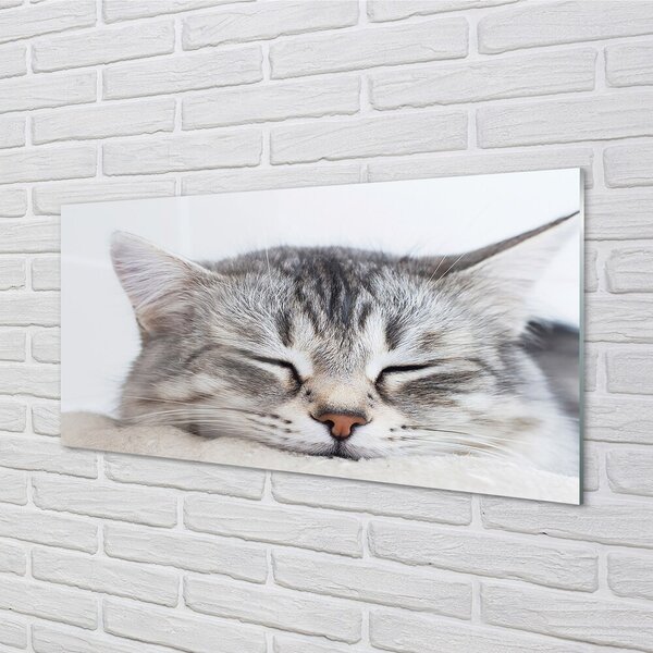 Quadro in vetro Gatto che dorme 100x50 cm 2 appendini