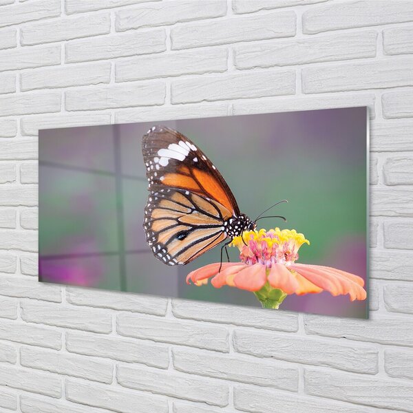 Quadro in vetro Fiore di farfalla colorato 100x50 cm 2 appendini