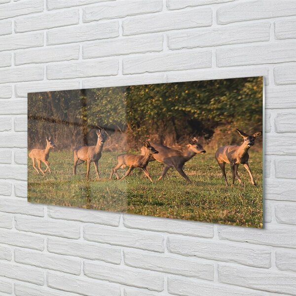 Quadro di vetro Alba in un campo di cervi 100x50 cm 2 appendini