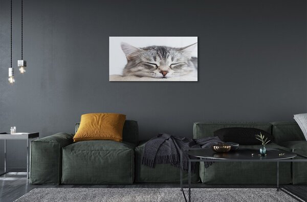 Quadro in vetro Gatto che dorme 100x50 cm 2 appendini