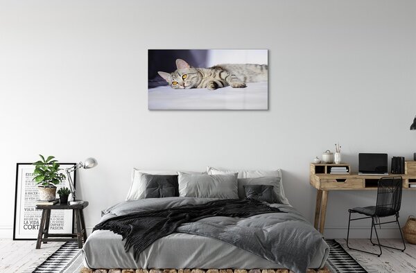 Quadro su vetro Gatto bugiardo 100x50 cm 2 appendini