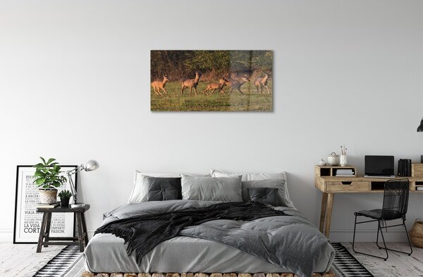 Quadro di vetro Alba in un campo di cervi 100x50 cm 2 appendini