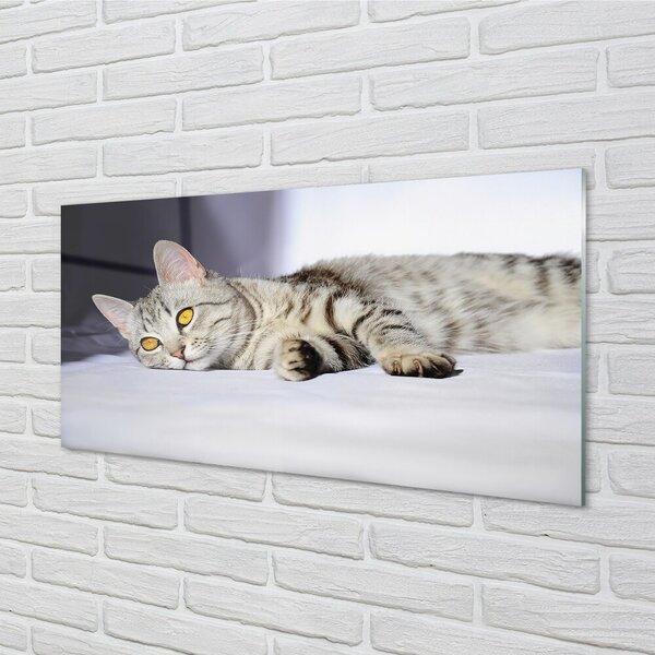 Quadro su vetro Gatto bugiardo 100x50 cm 2 appendini