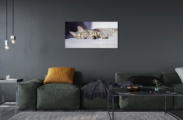 Quadro su vetro Gatto bugiardo 100x50 cm 2 appendini