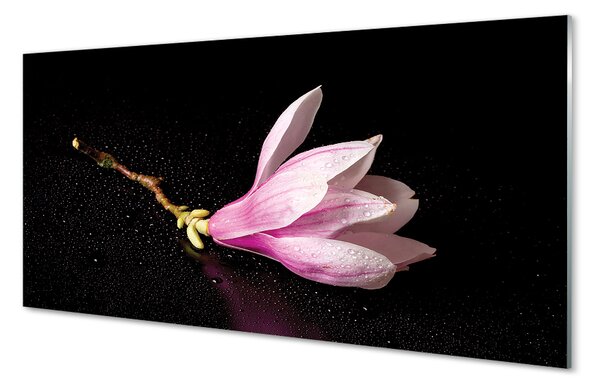 Quadro in vetro Acqua di fiori 100x50 cm 2 appendini