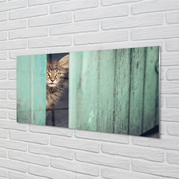 Quadro in vetro Gatto guardone 100x50 cm 2 appendini