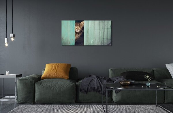 Quadro in vetro Gatto guardone 100x50 cm 2 appendini