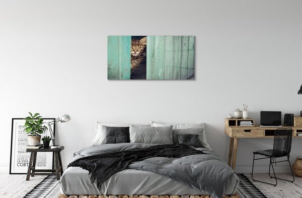 Quadro in vetro Gatto guardone 100x50 cm 2 appendini