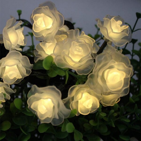 Catena decorata con 20 Rose luminose a Led Bianco Caldo fisso e intermittente 3 metri a batteria Wisdom