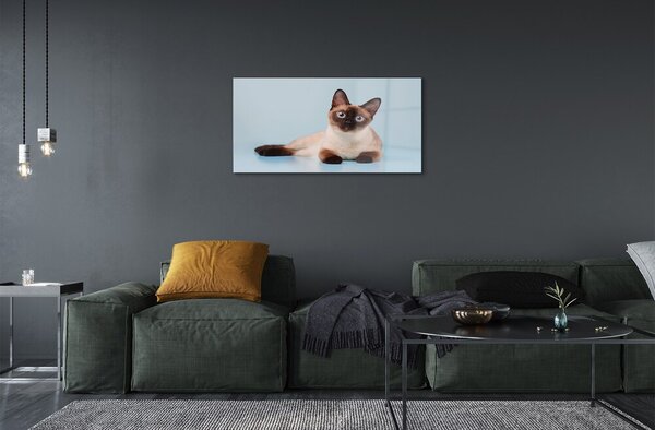 Quadro di vetro Gatto bugiardo 100x50 cm 2 appendini