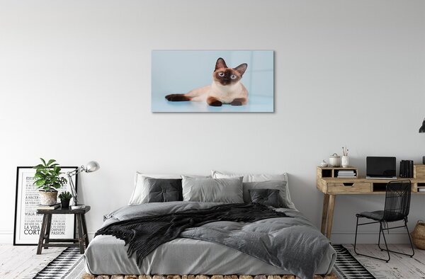 Quadro di vetro Gatto bugiardo 100x50 cm 2 appendini