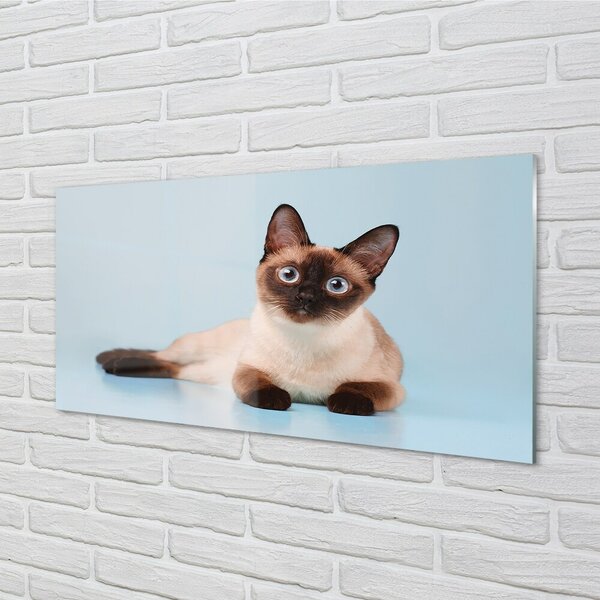 Quadro di vetro Gatto bugiardo 100x50 cm 2 appendini
