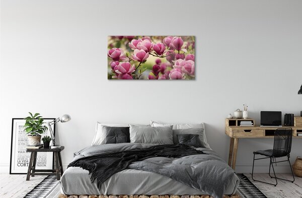 Quadro in vetro Fiori d'albero 100x50 cm 2 appendini
