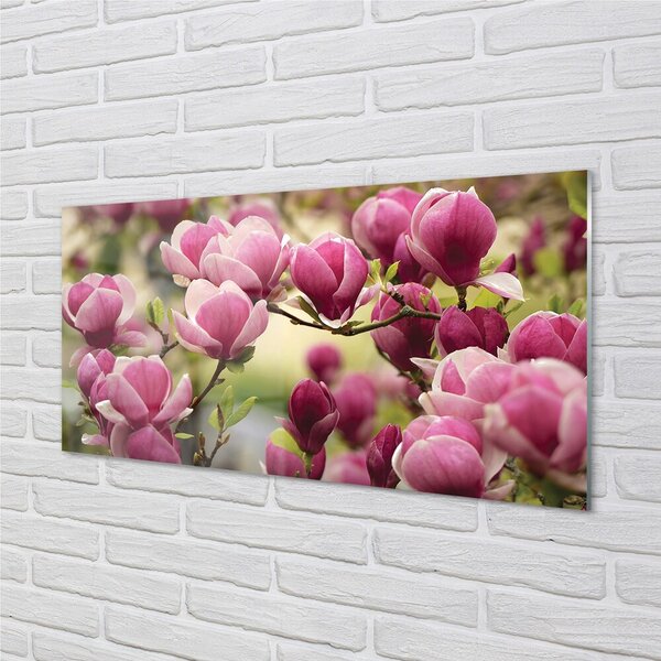 Quadro in vetro Fiori d'albero 100x50 cm 2 appendini