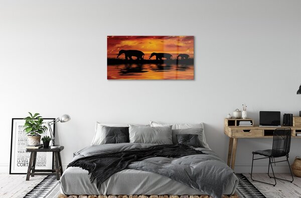 Quadro in vetro Lago dell'elefante occidentale 100x50 cm 2 appendini