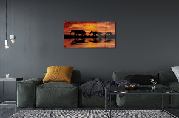 Quadro in vetro Lago dell'elefante occidentale 100x50 cm 2 appendini