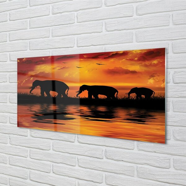 Quadro in vetro Lago dell'elefante occidentale 100x50 cm 2 appendini