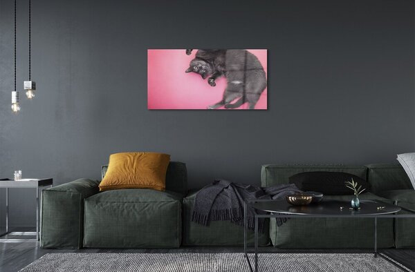 Quadro vetro Gatto bugiardo 100x50 cm 2 appendini
