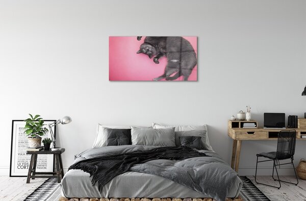 Quadro vetro Gatto bugiardo 100x50 cm 2 appendini