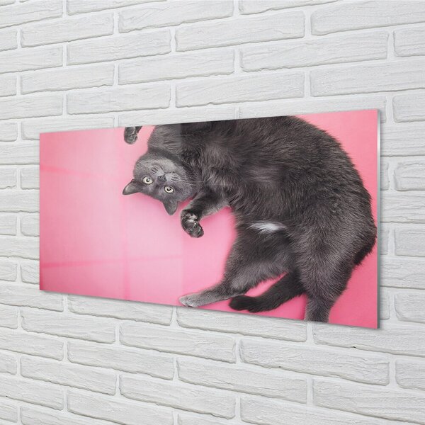 Quadro vetro Gatto bugiardo 100x50 cm 2 appendini
