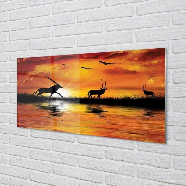 Quadro in vetro Lago degli uccelli ovest 100x50 cm 2 appendini