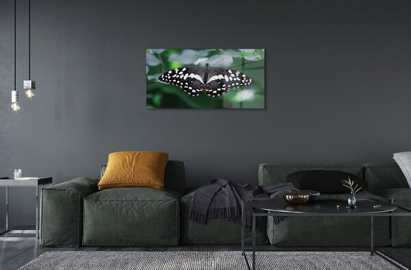 Quadro su vetro Foglie di farfalla colorate 100x50 cm 2 appendini