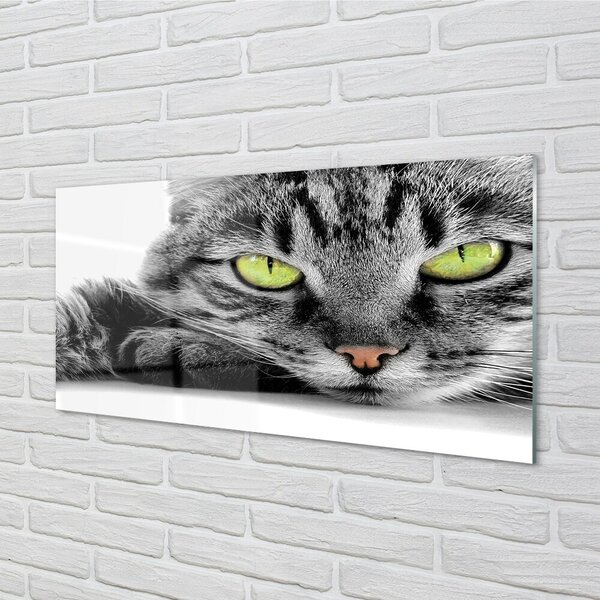 Quadro vetro Gatto grigio e nero 100x50 cm 2 appendini