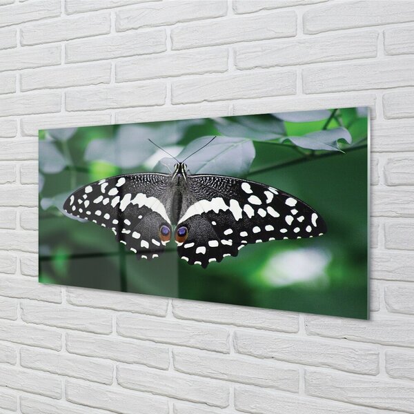 Quadro su vetro Foglie di farfalla colorate 100x50 cm 2 appendini