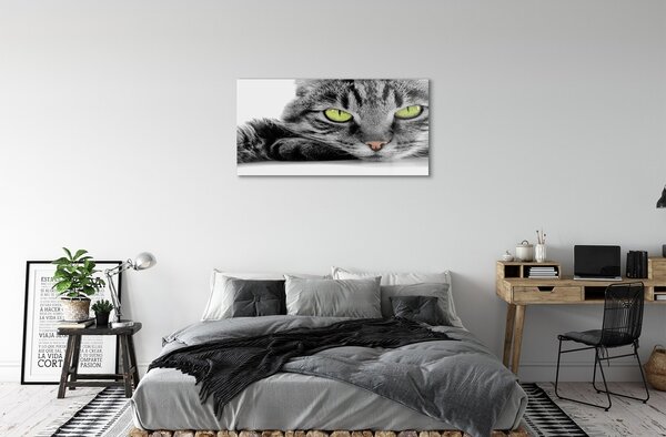 Quadro vetro Gatto grigio e nero 100x50 cm 2 appendini