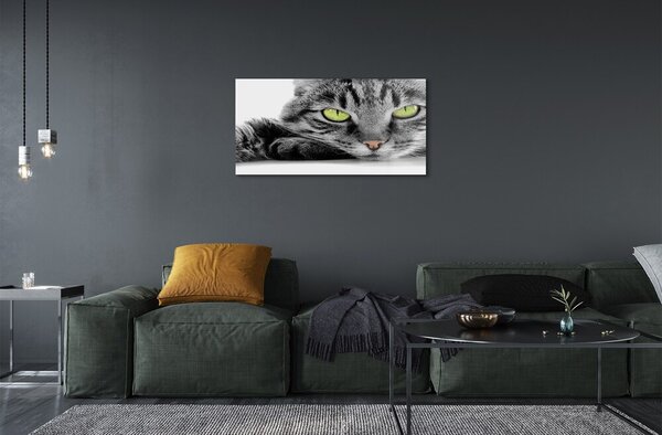 Quadro vetro Gatto grigio e nero 100x50 cm 2 appendini