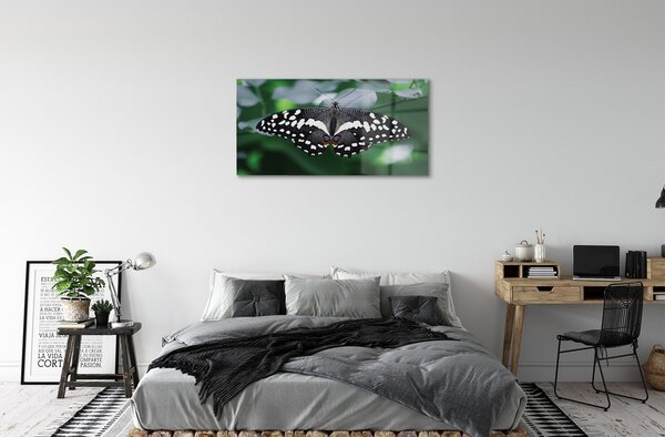 Quadro su vetro Foglie di farfalla colorate 100x50 cm 2 appendini